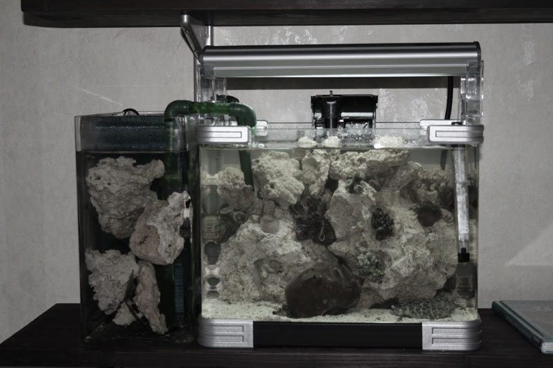 Nano Aquarium Aquaristik Nano Riff